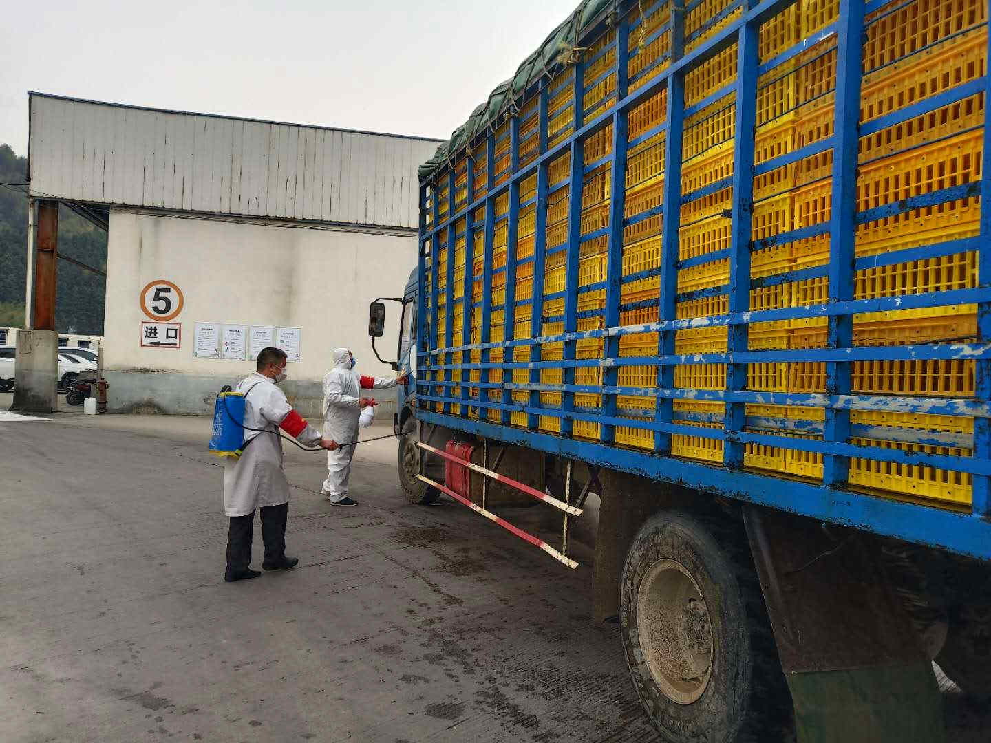 非凡国际(中国区)有限公司-官方网站