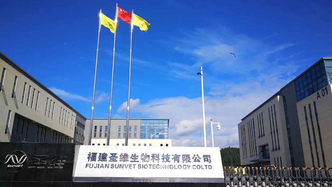 20211228183641 非凡国际(中国区)有限公司-官方网站